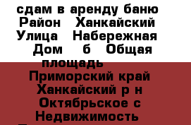 сдам в аренду баню › Район ­ Ханкайский › Улица ­ Набережная › Дом ­ 5б › Общая площадь ­ 217 - Приморский край, Ханкайский р-н, Октябрьское с. Недвижимость » Помещения аренда   